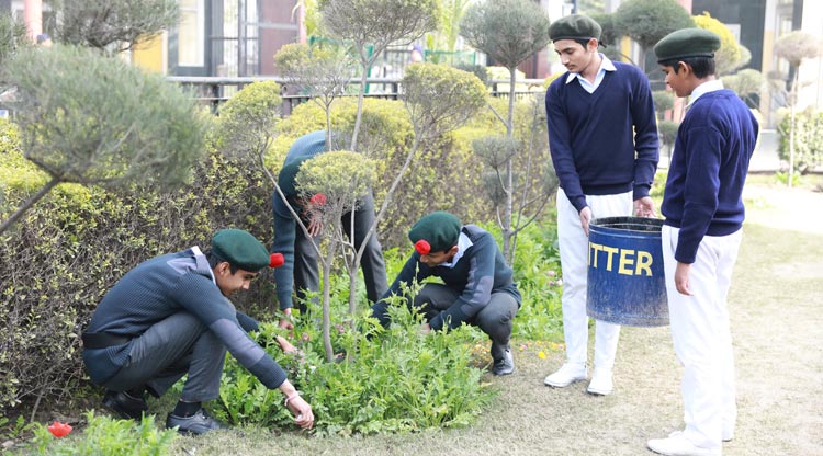 Cleanliness Drive