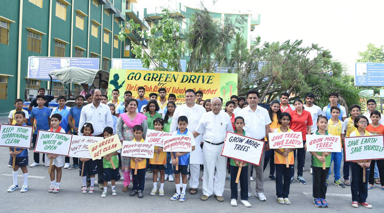 Tree Plantation Drive